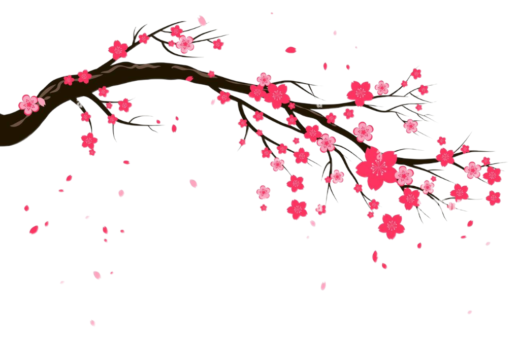 Sakura Branch